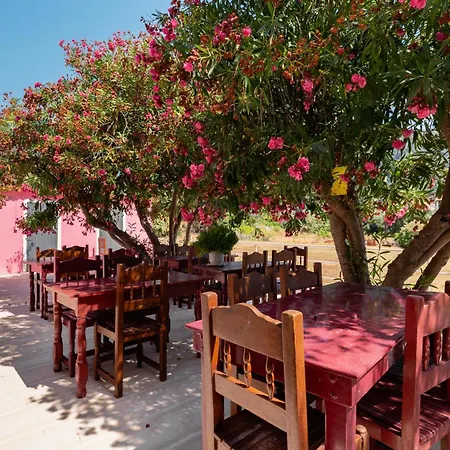 Pink Palace 2*