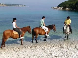 Hotel Pink Palace 2*