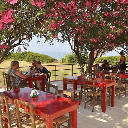 Pink Palace فندق آغيوس غوذيوس